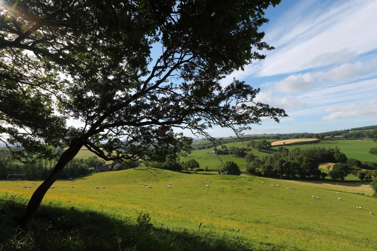 Upper Gelli Luxury Holiday Lodge, Converted Dairy & Cosy Shepherds Huts Welshpool Zewnętrze zdjęcie