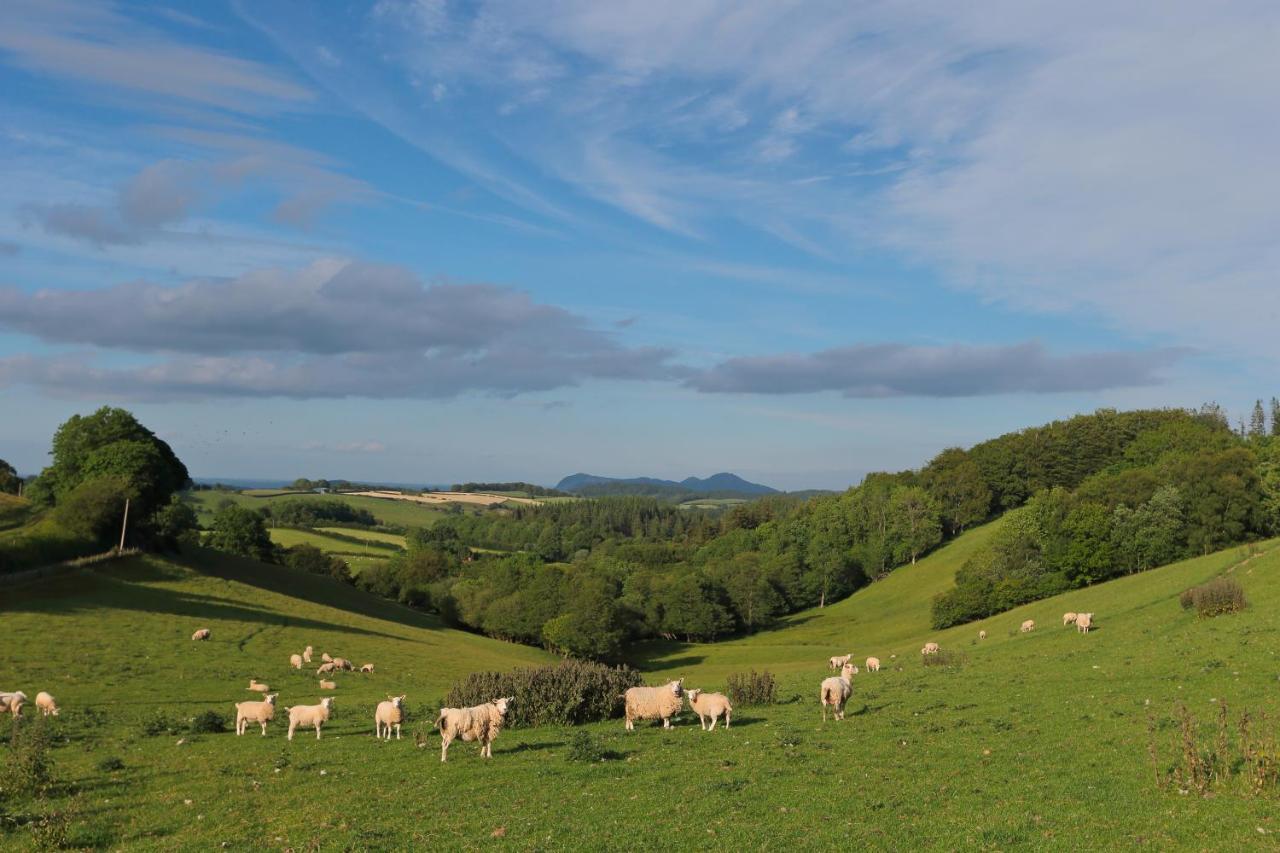 Upper Gelli Luxury Holiday Lodge, Converted Dairy & Cosy Shepherds Huts Welshpool Zewnętrze zdjęcie