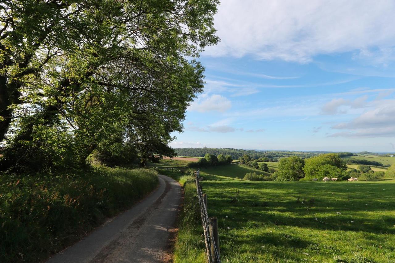 Upper Gelli Luxury Holiday Lodge, Converted Dairy & Cosy Shepherds Huts Welshpool Zewnętrze zdjęcie