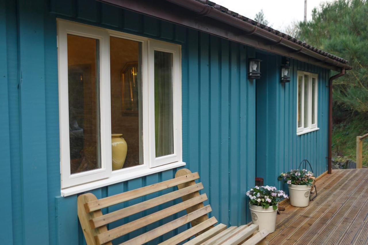 Upper Gelli Luxury Holiday Lodge, Converted Dairy & Cosy Shepherds Huts Welshpool Zewnętrze zdjęcie