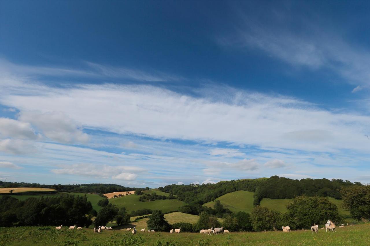 Upper Gelli Luxury Holiday Lodge, Converted Dairy & Cosy Shepherds Huts Welshpool Zewnętrze zdjęcie